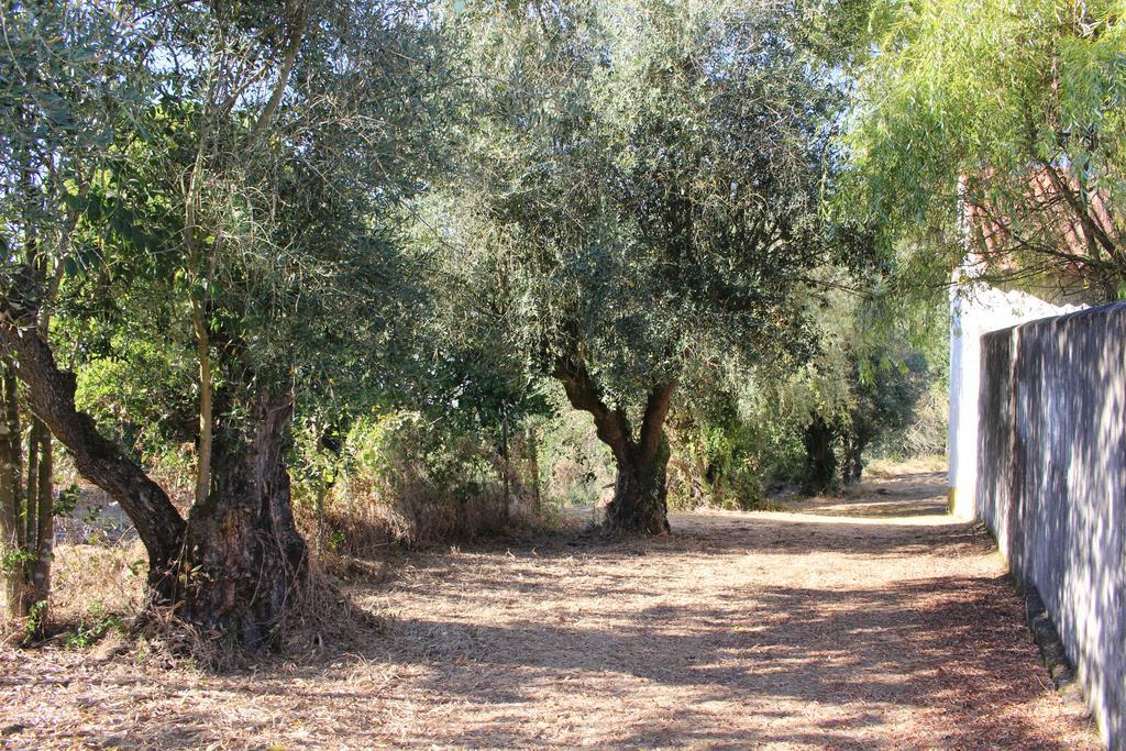 Quinta Do Valle Tomar Zewnętrze zdjęcie