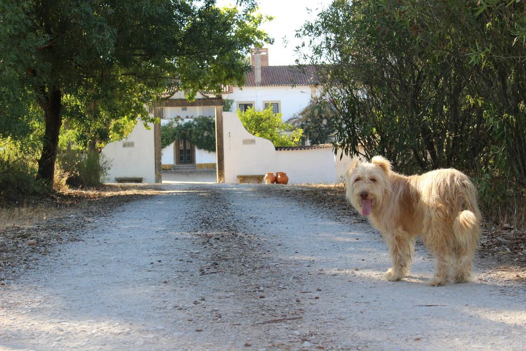 Quinta Do Valle Tomar Zewnętrze zdjęcie